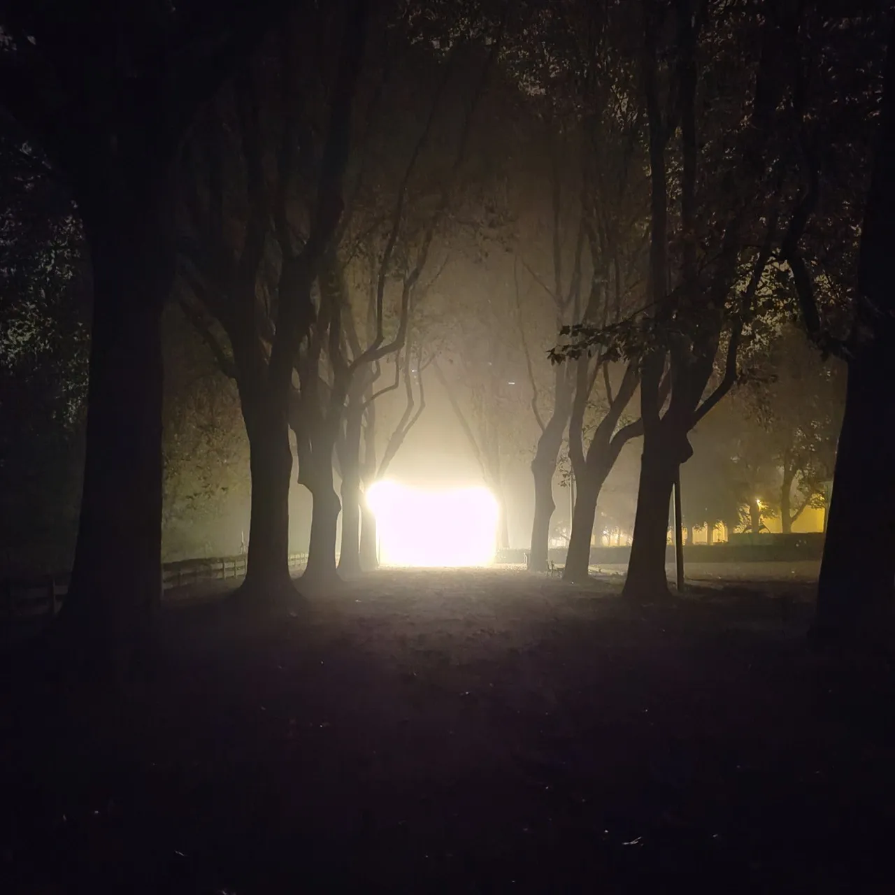 Promenade des Docteurs Mattrais - France