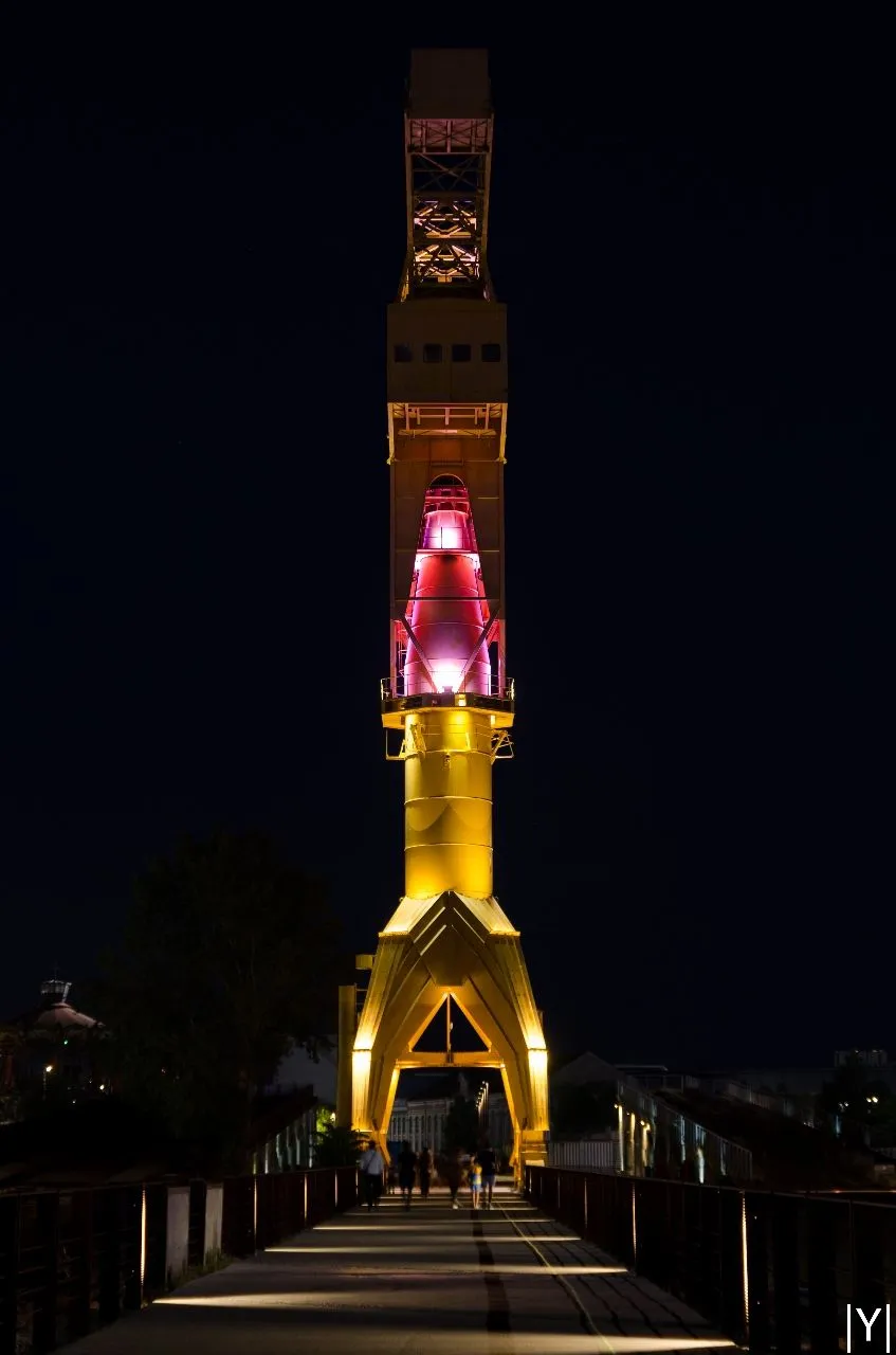 Grue Titan Jaune - France