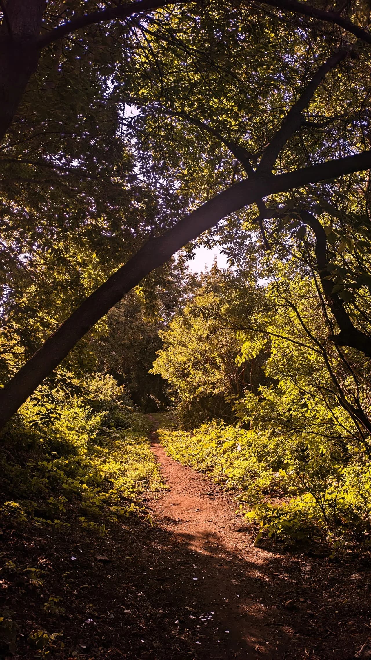 Park near Iset River - Russia