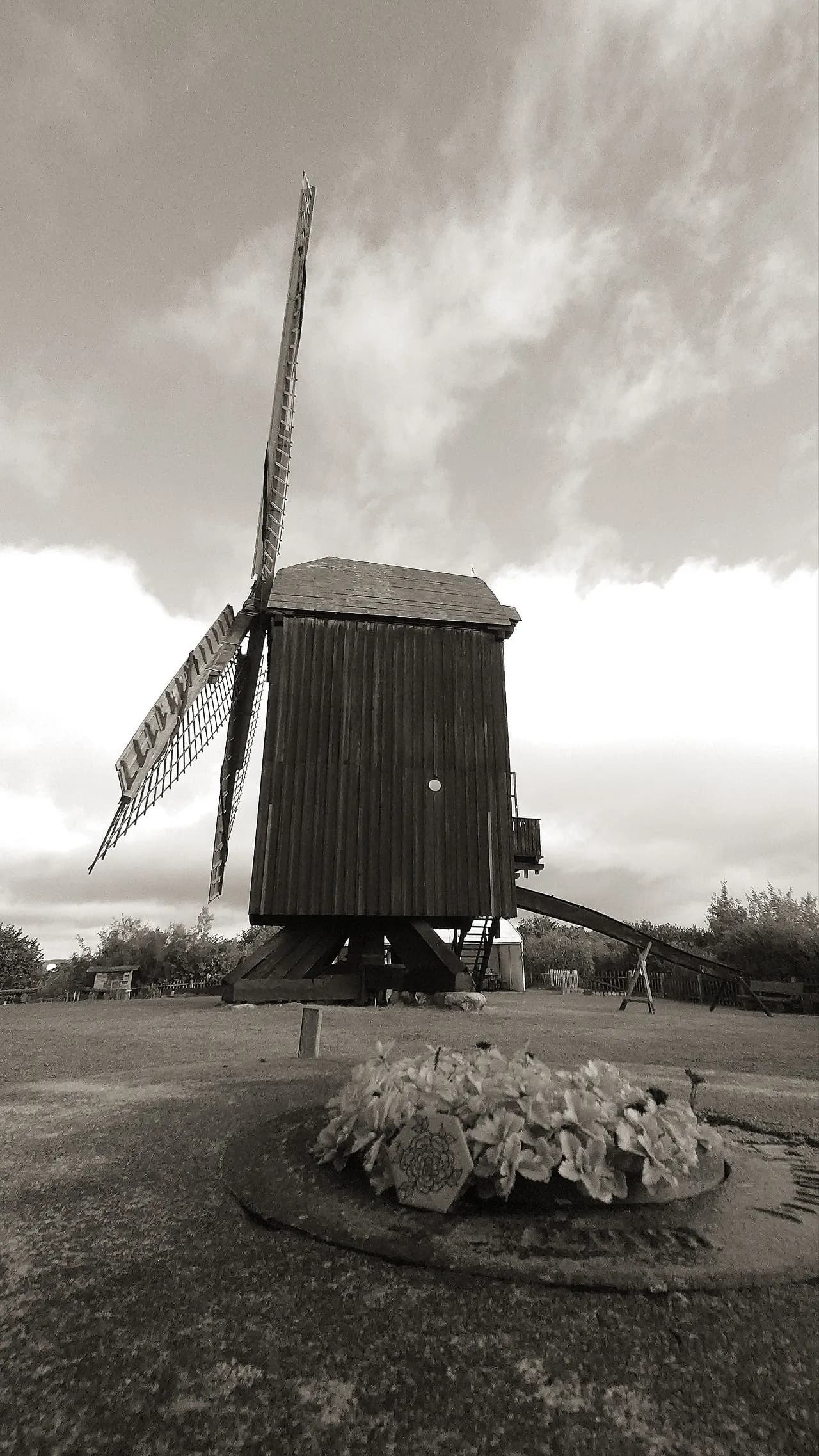 Bockwindmühle Pudagla - Germany