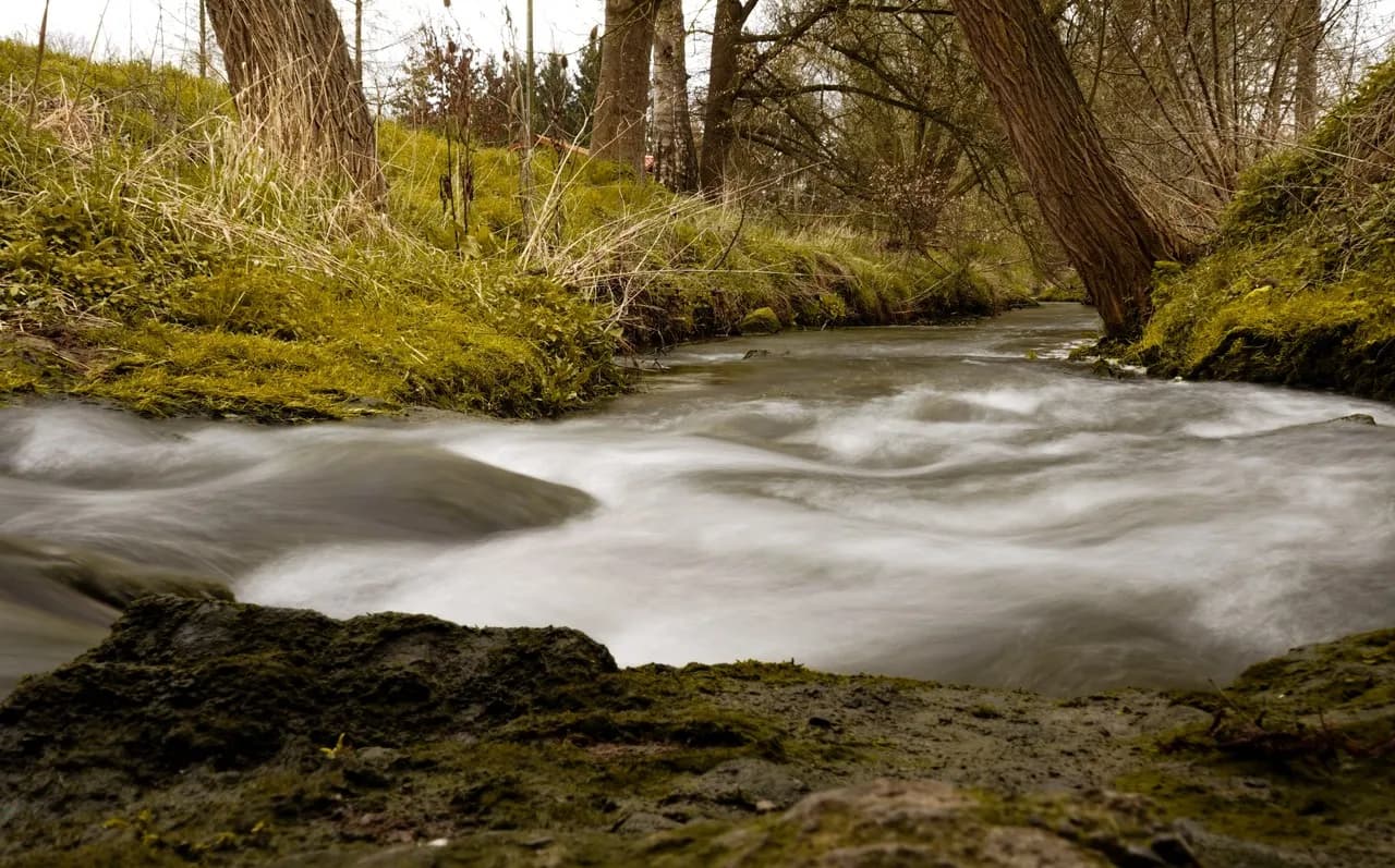 Altingen Ammer - Germany