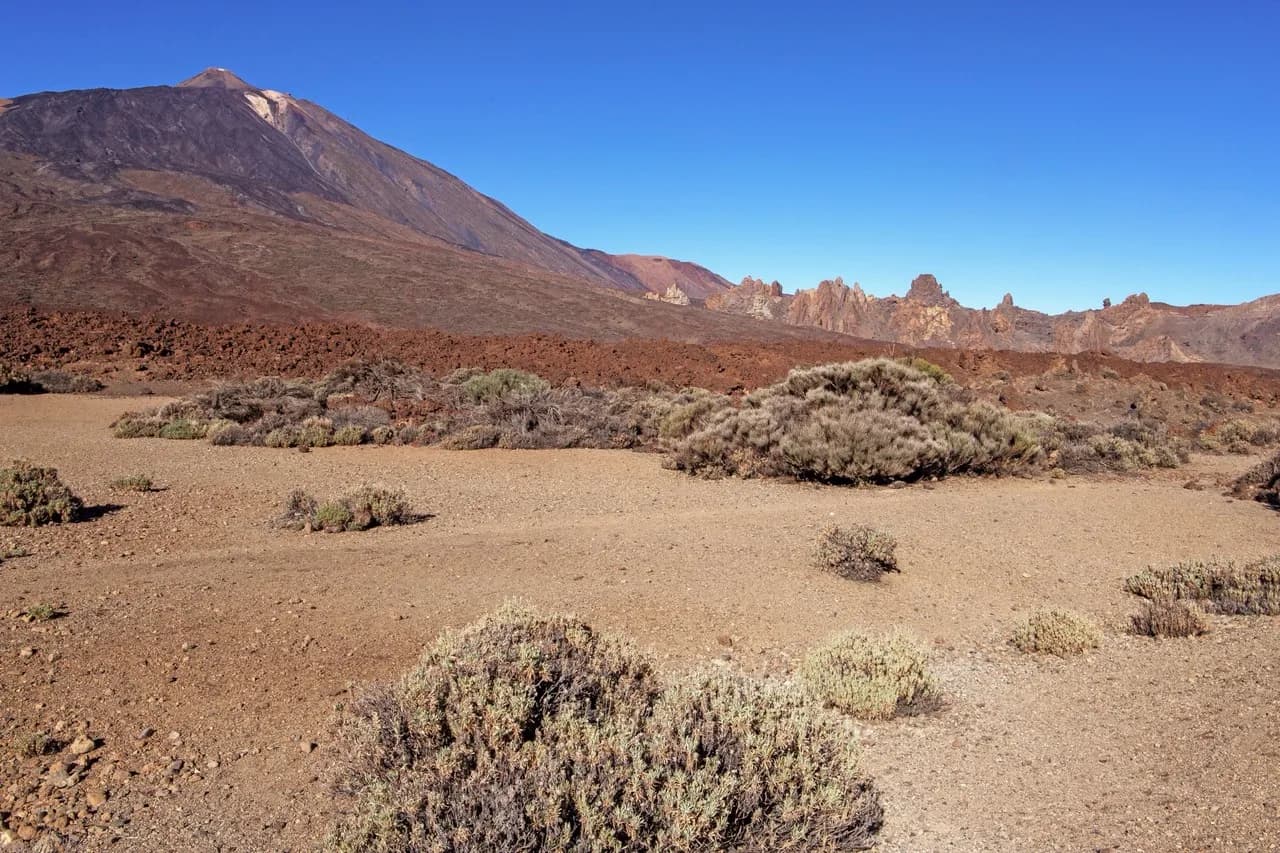 Queen’s Shoe - Spain