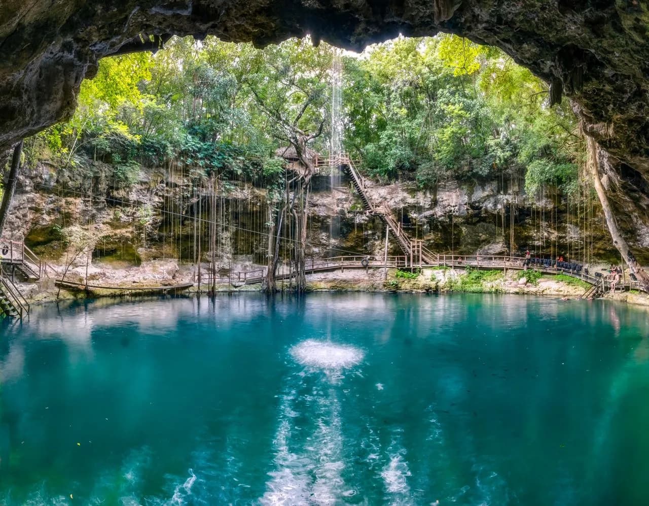 Cenote Xcan - Frá Far side of Cenote, Mexico