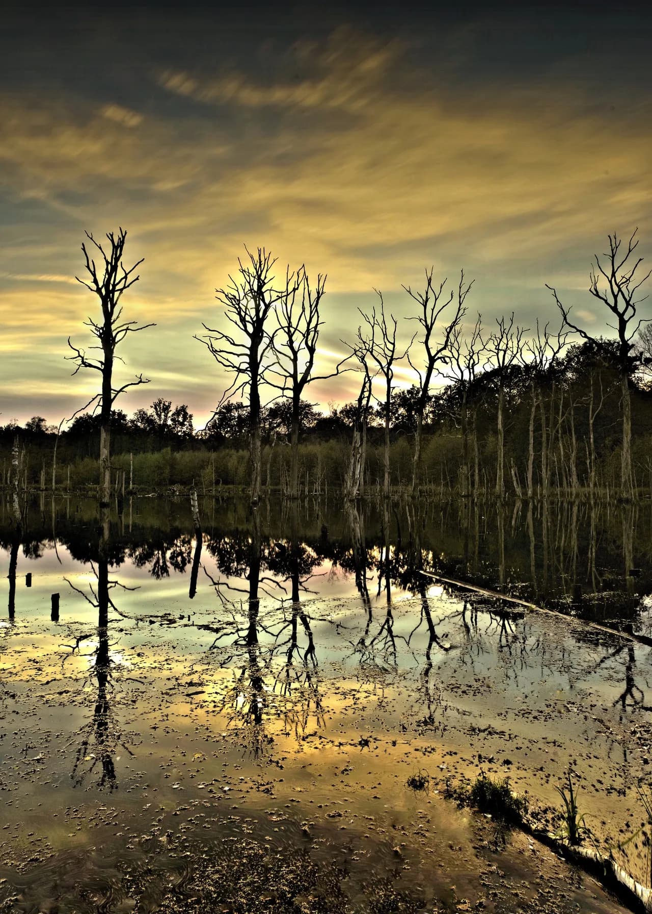 Elchweg Dinslaken - Germany