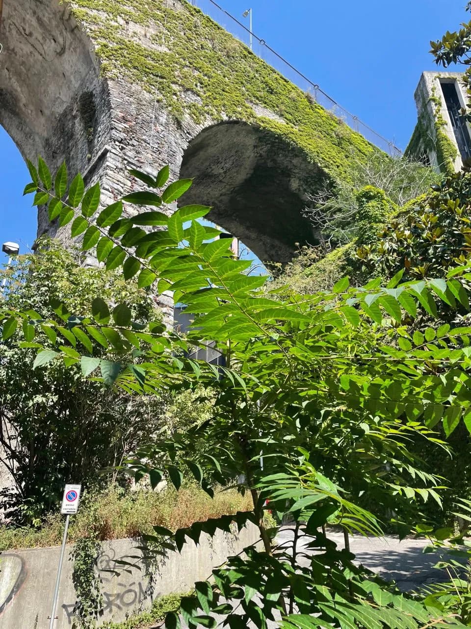 Ponte di Carignano - Desde Via Casaccie, Italy