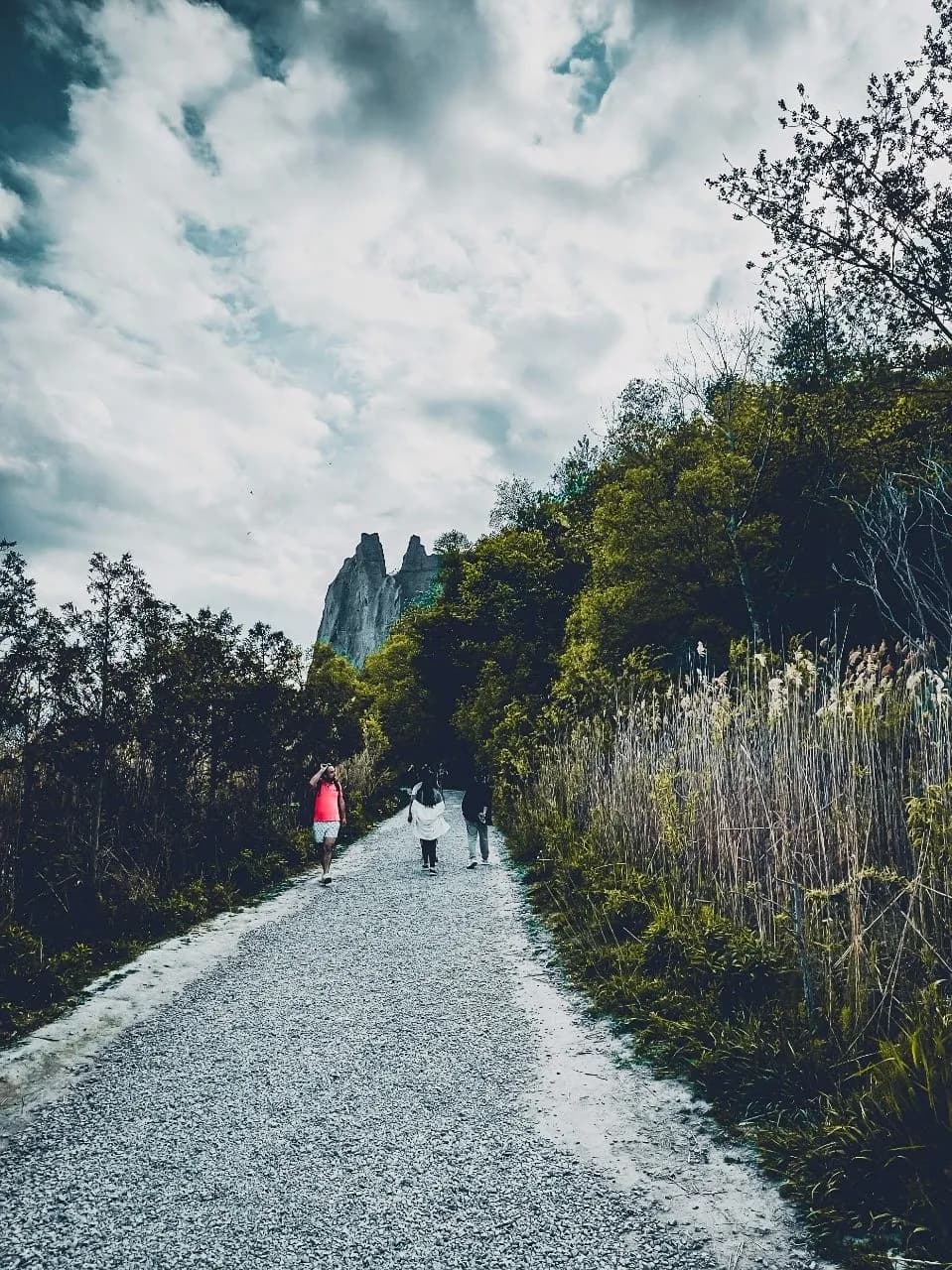Bluffer's Park - From Path, Canada