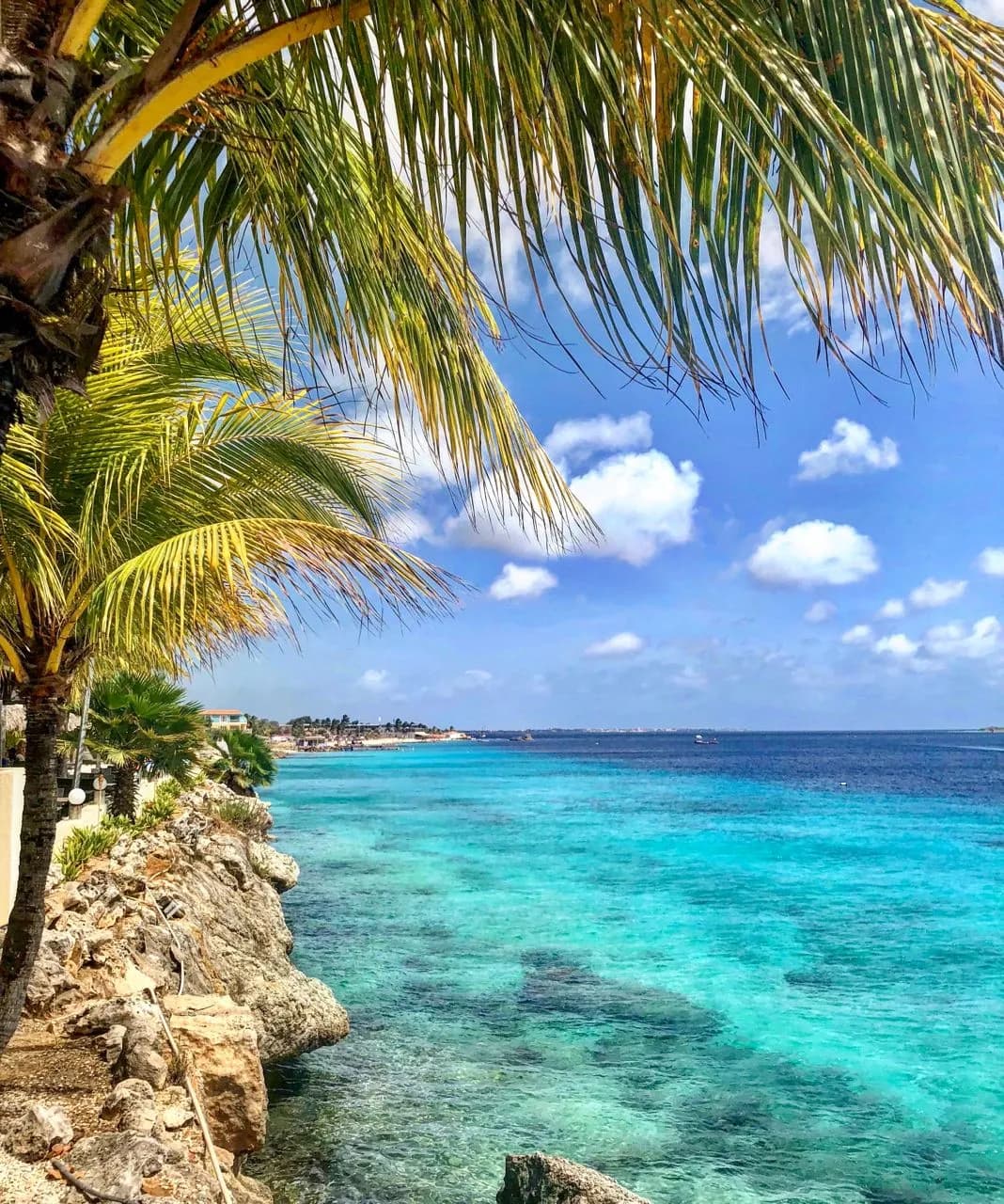 Buddy's Reef - Caribbean Netherlands
