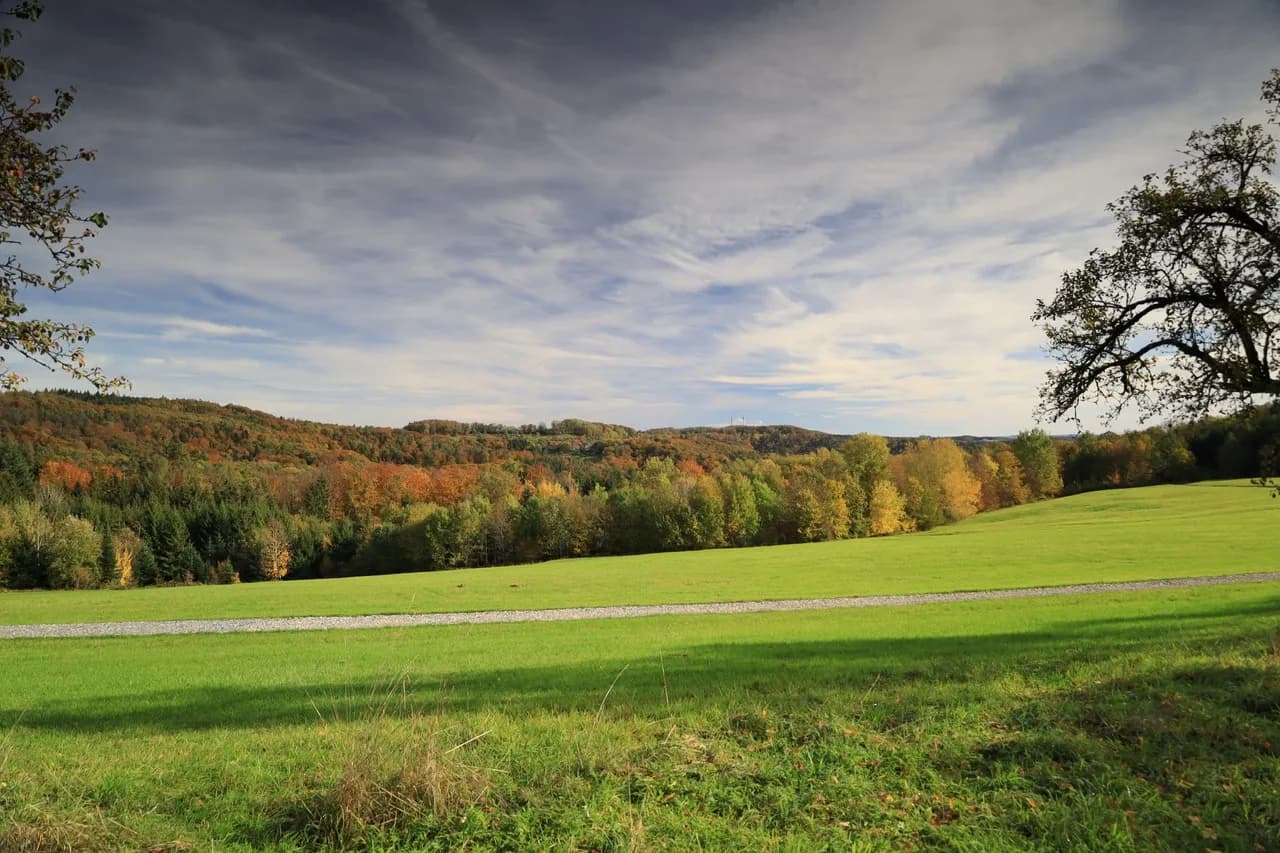 Großhöchberg fields - Germany