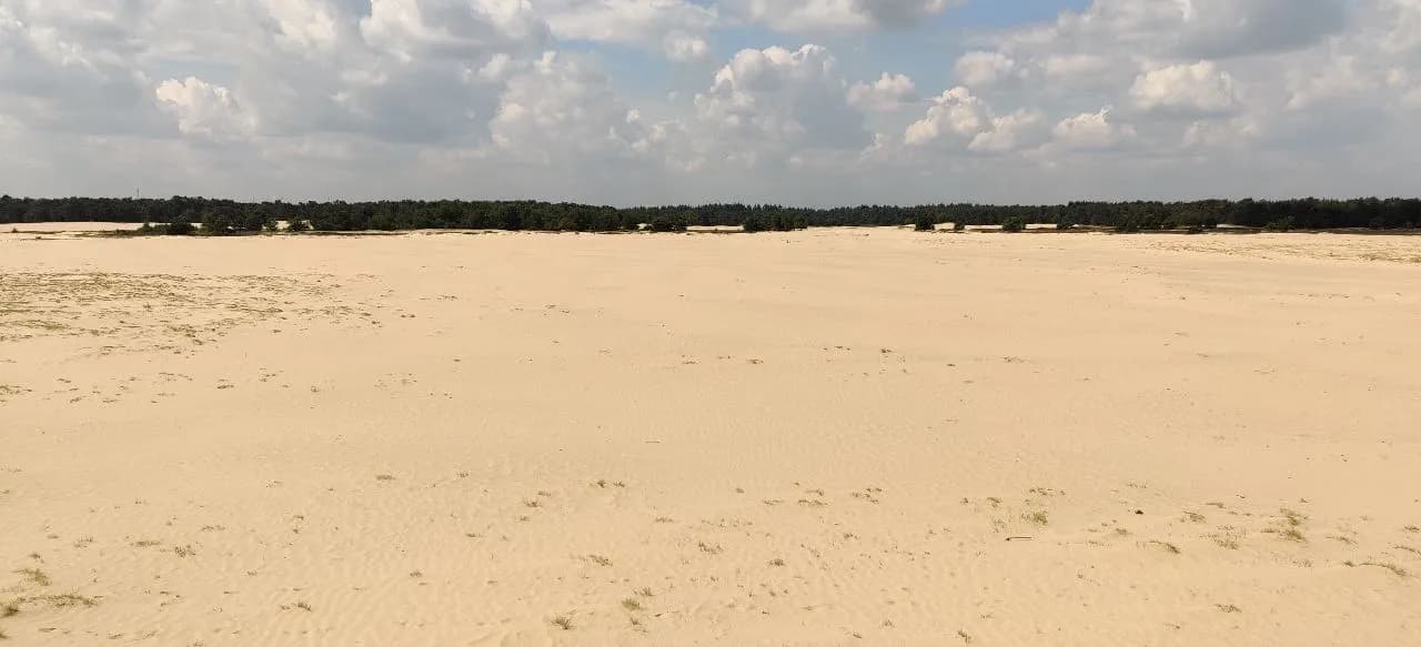 Grote Vlakte - 출발지 Grote Vlakte, Netherlands