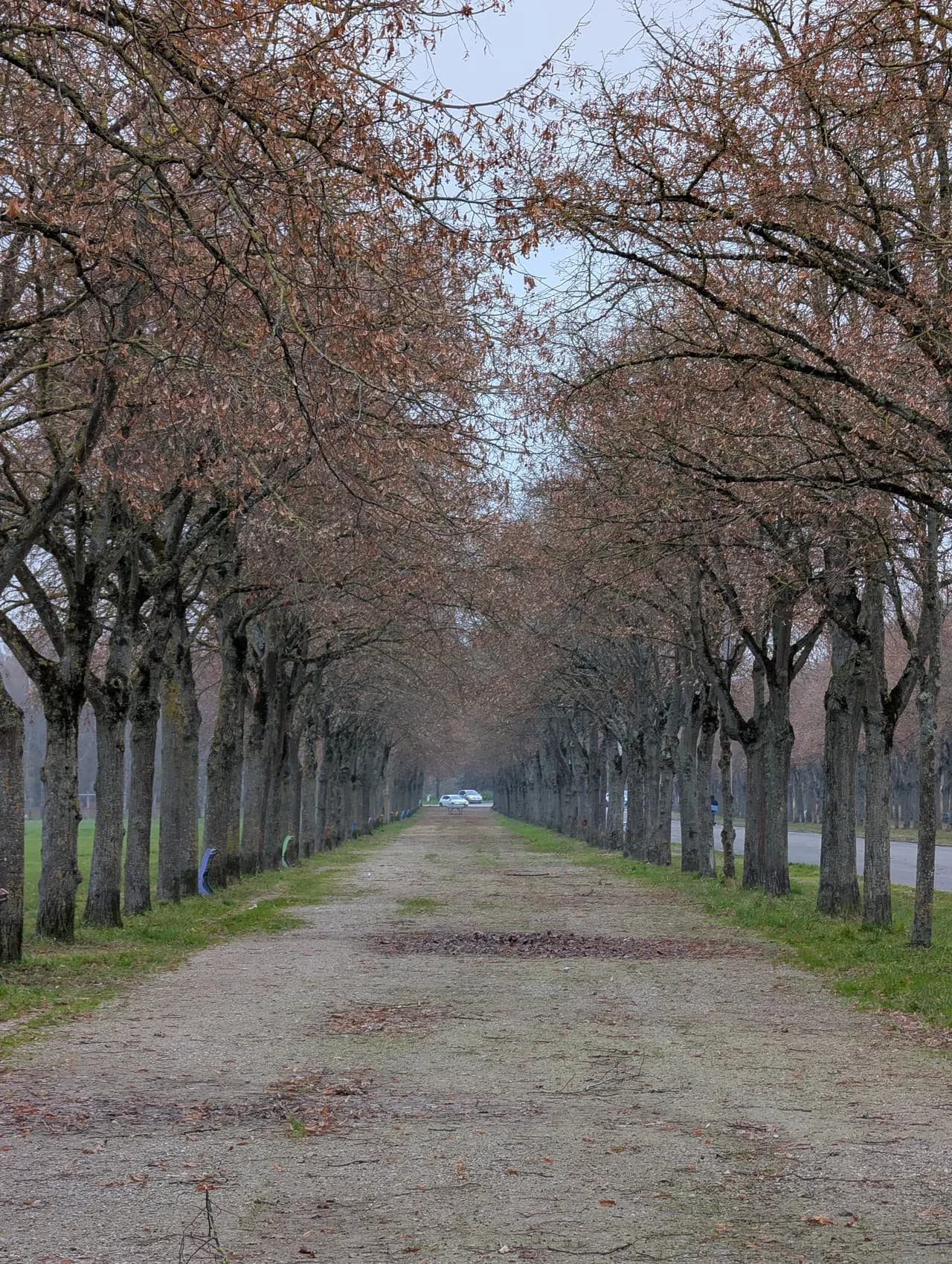 Parc de la Hotoie - France