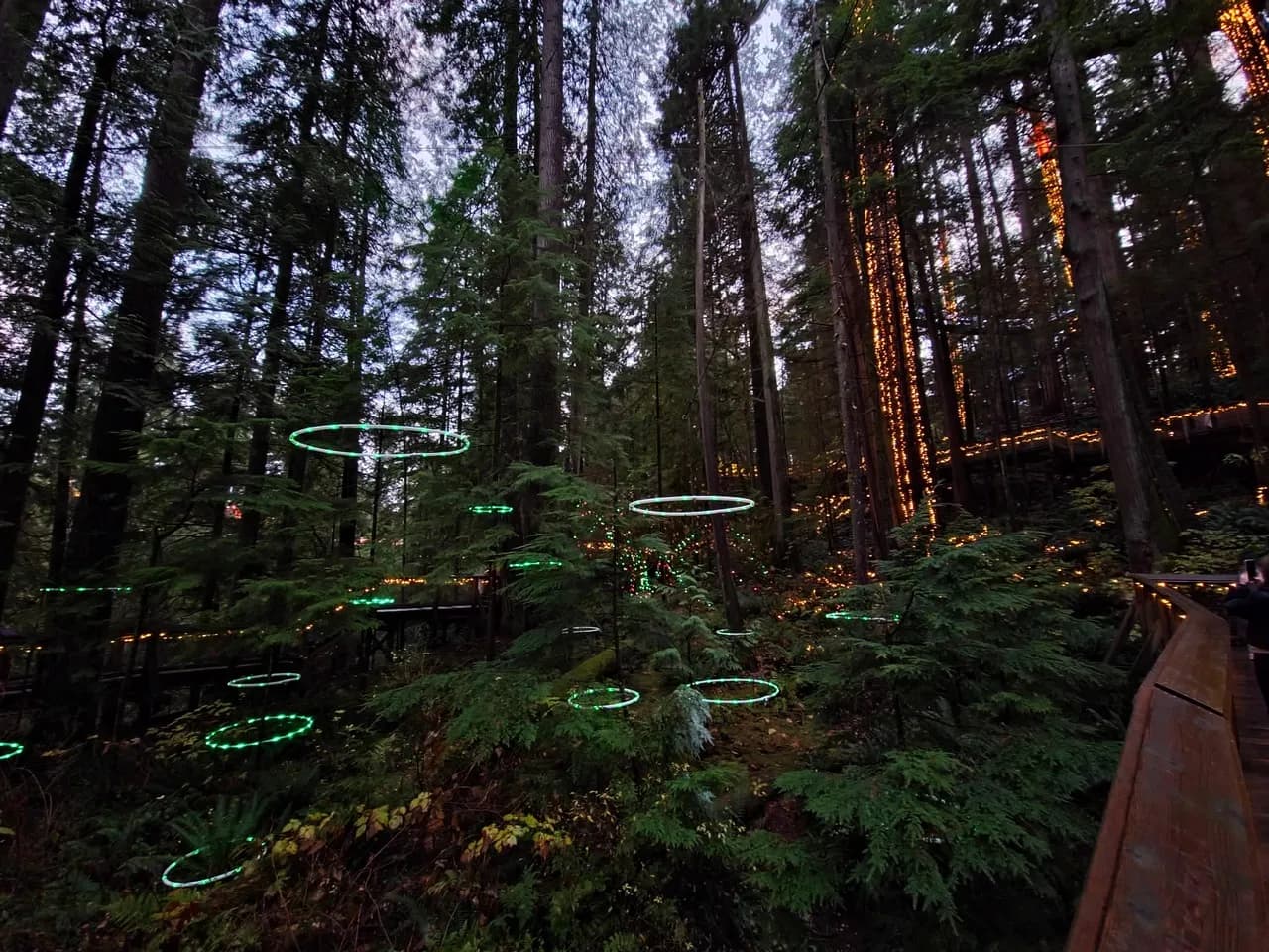 Treetops Adventure - Desde Approximate area, Canada