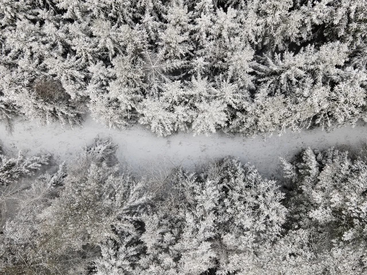 Empty path in the woods - จาก Aerial - Drone, Germany
