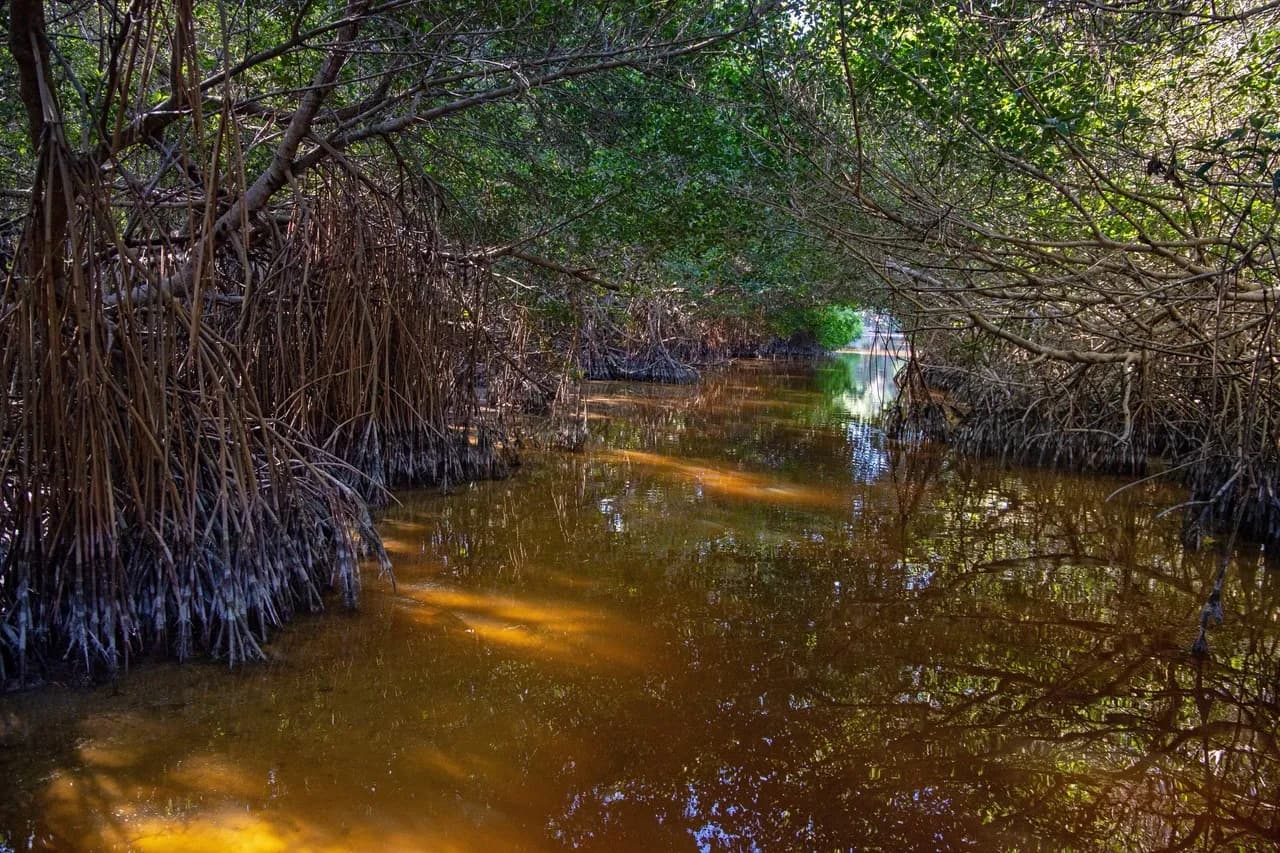 Ojo de Agua Baldiosera - Mexico