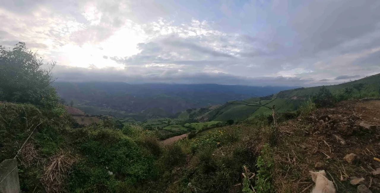 Piaran - Desde Carretera Consacá - Sandoná, Colombia