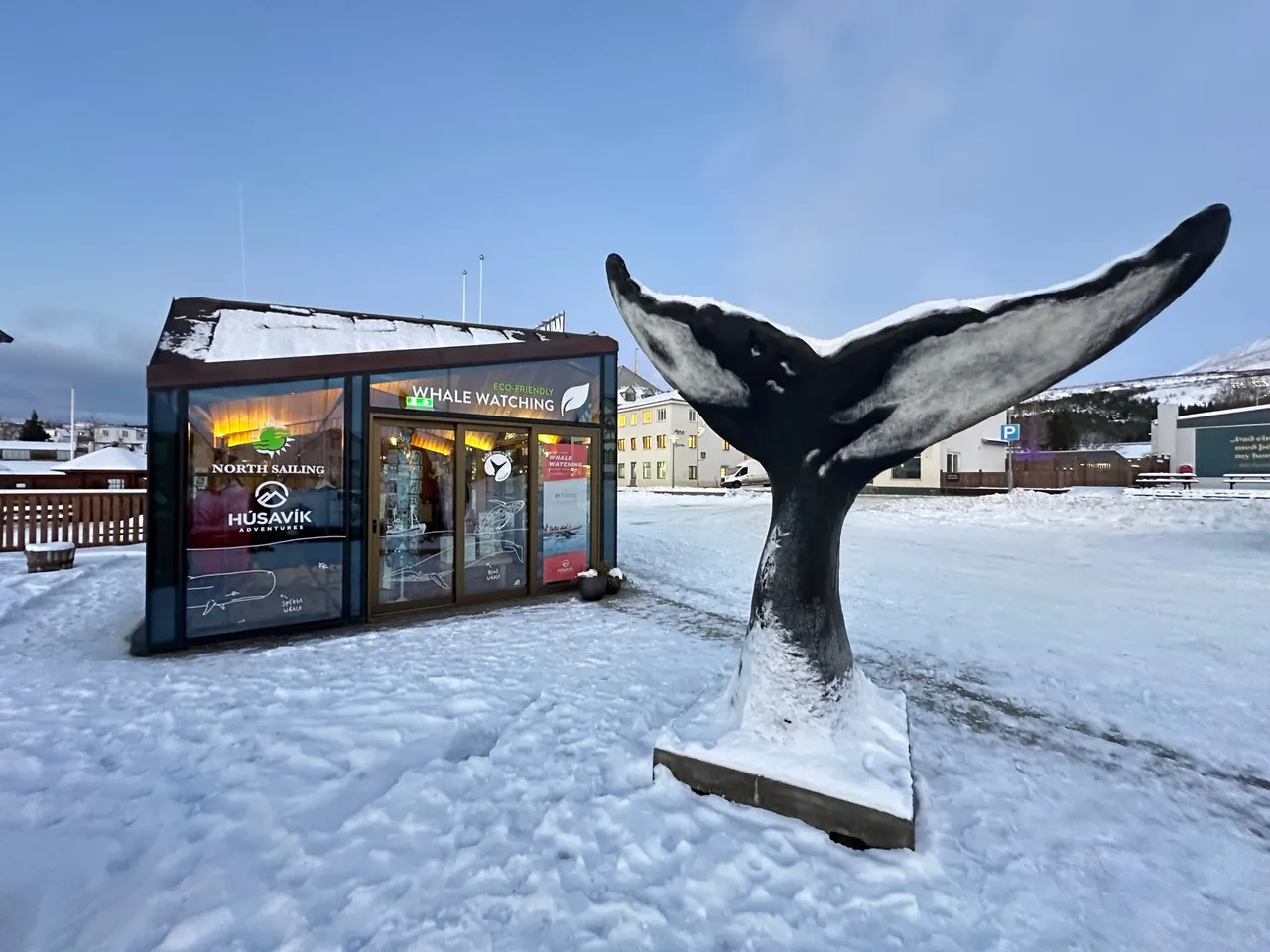 North Sailing - Húsavík Whale Watching - Iceland