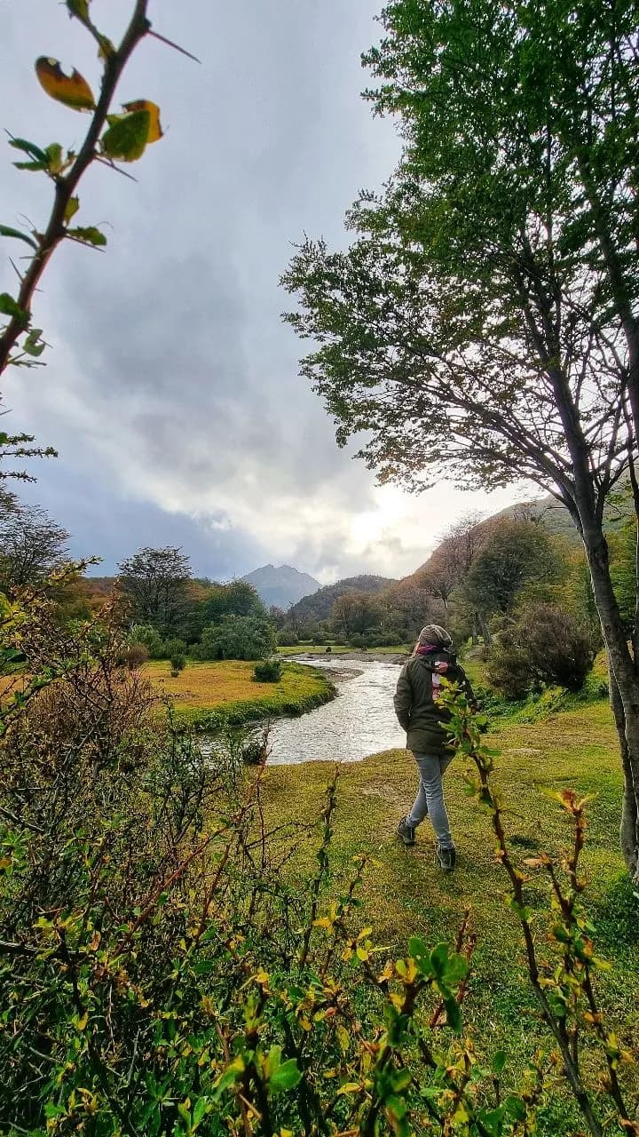 Río Pipo - Frá Train rails, Argentina