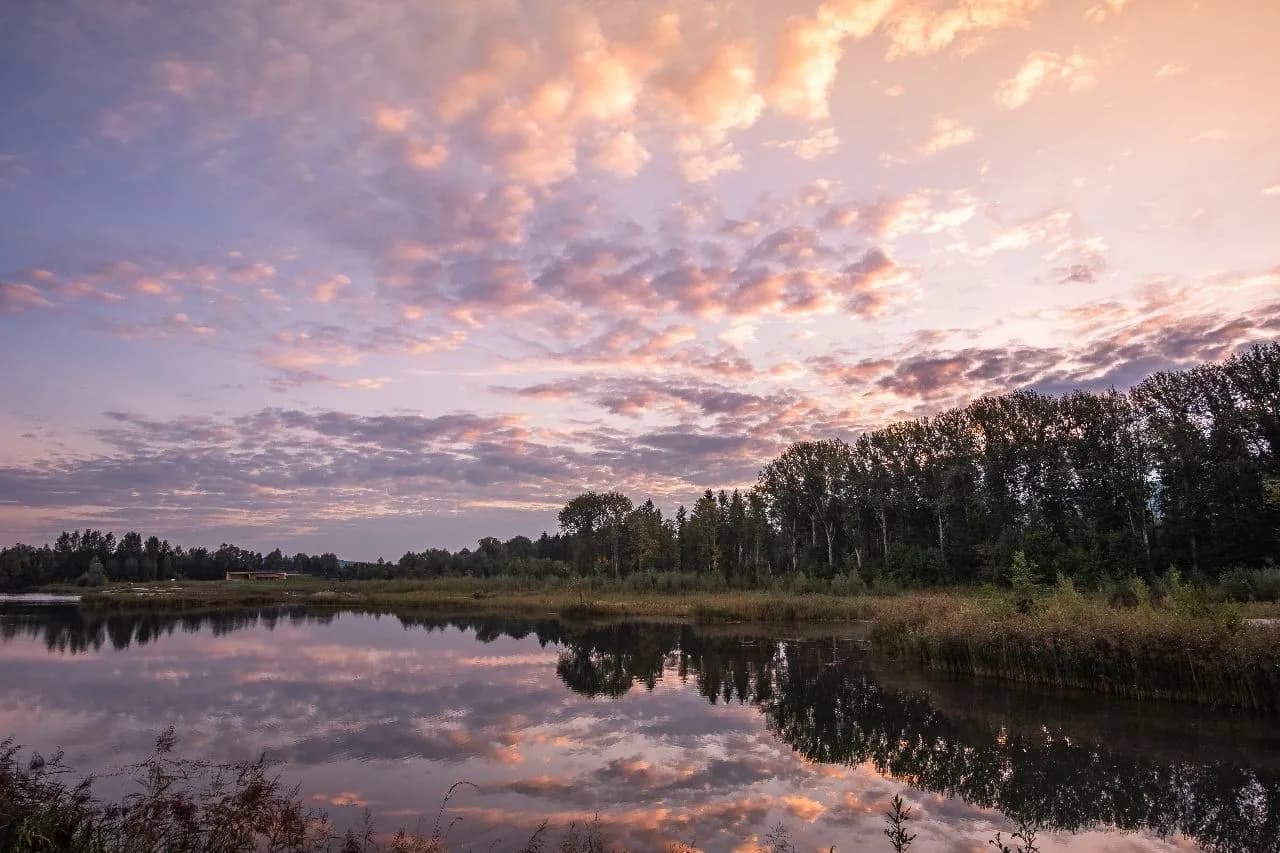 Sonnenaufgang Weitwörther Au - Z Beobachtungspunkt, Austria