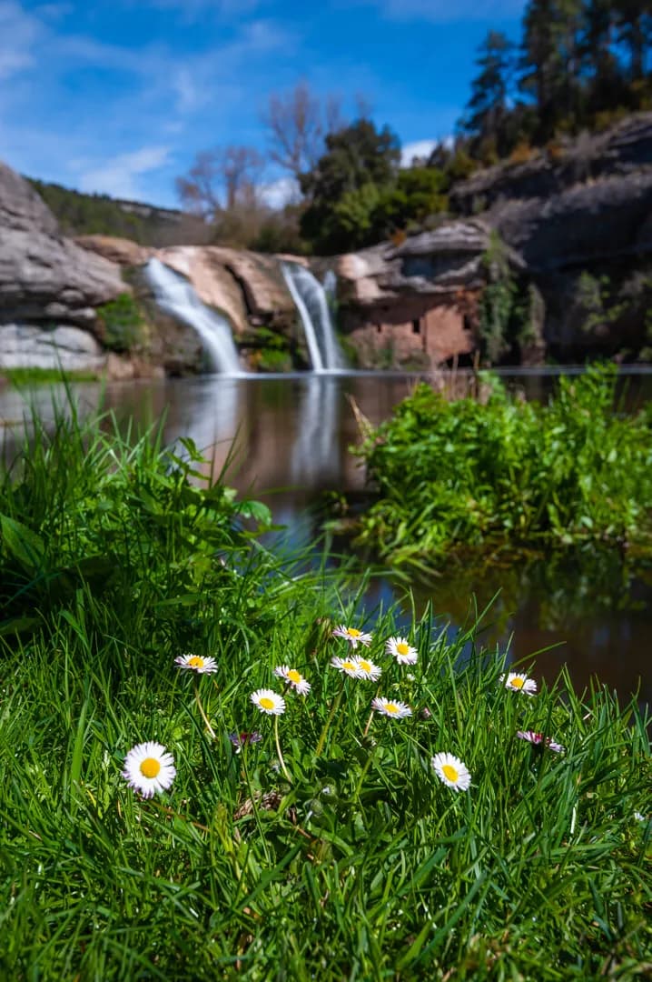 Riera de la Golarda O de Marfà - Spain