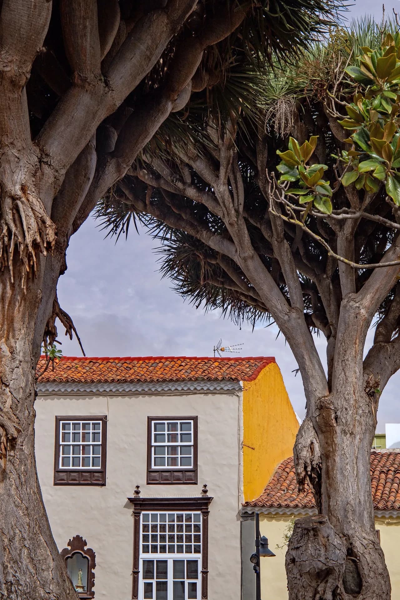 Plaza de La Concepción - Spain