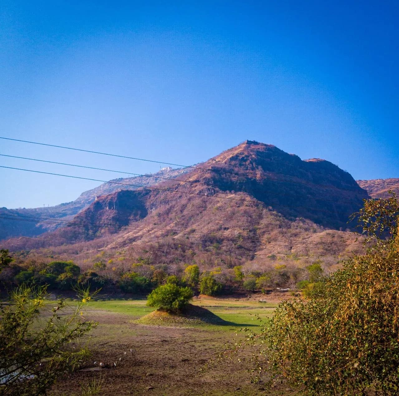 The Lone Tree - Od Patal Lake, India