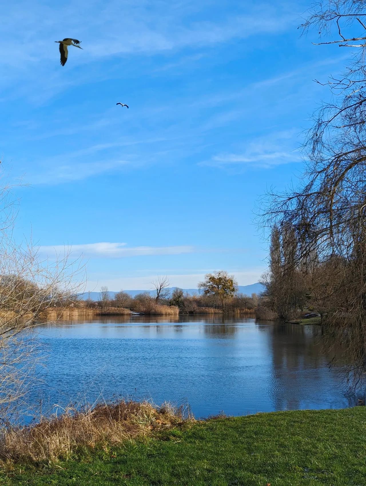 Zone de Loisirs - France