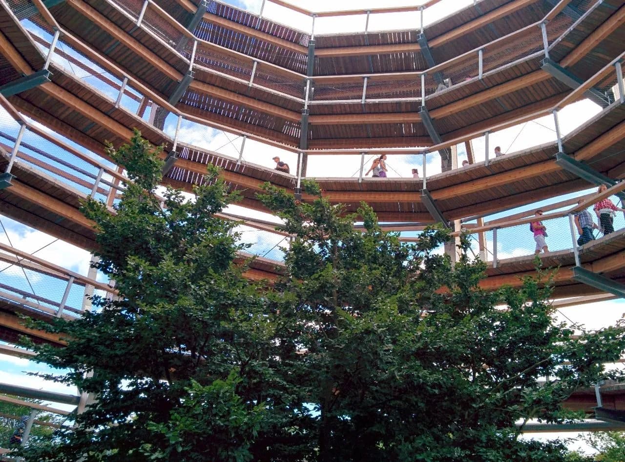 Aussichtsplattform Adlerhorst - Germany