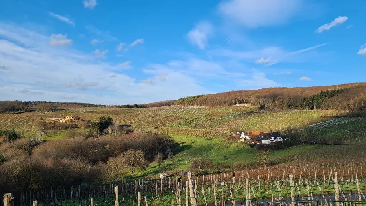 Weinberge im Ahrtal - From Wanderweg bei Parkplatz, Germany