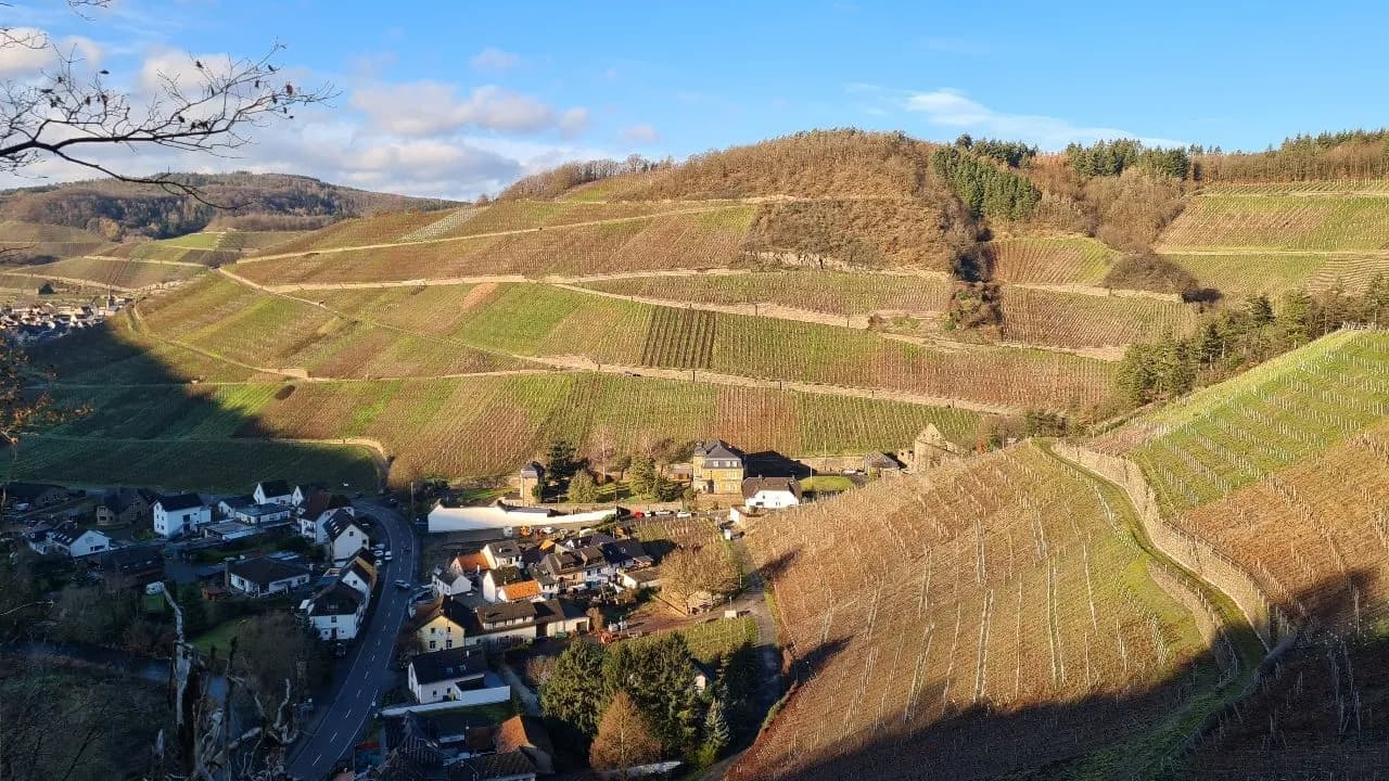 Weinberge im Ahrtal / Marienthal - From Wanderweg, Germany