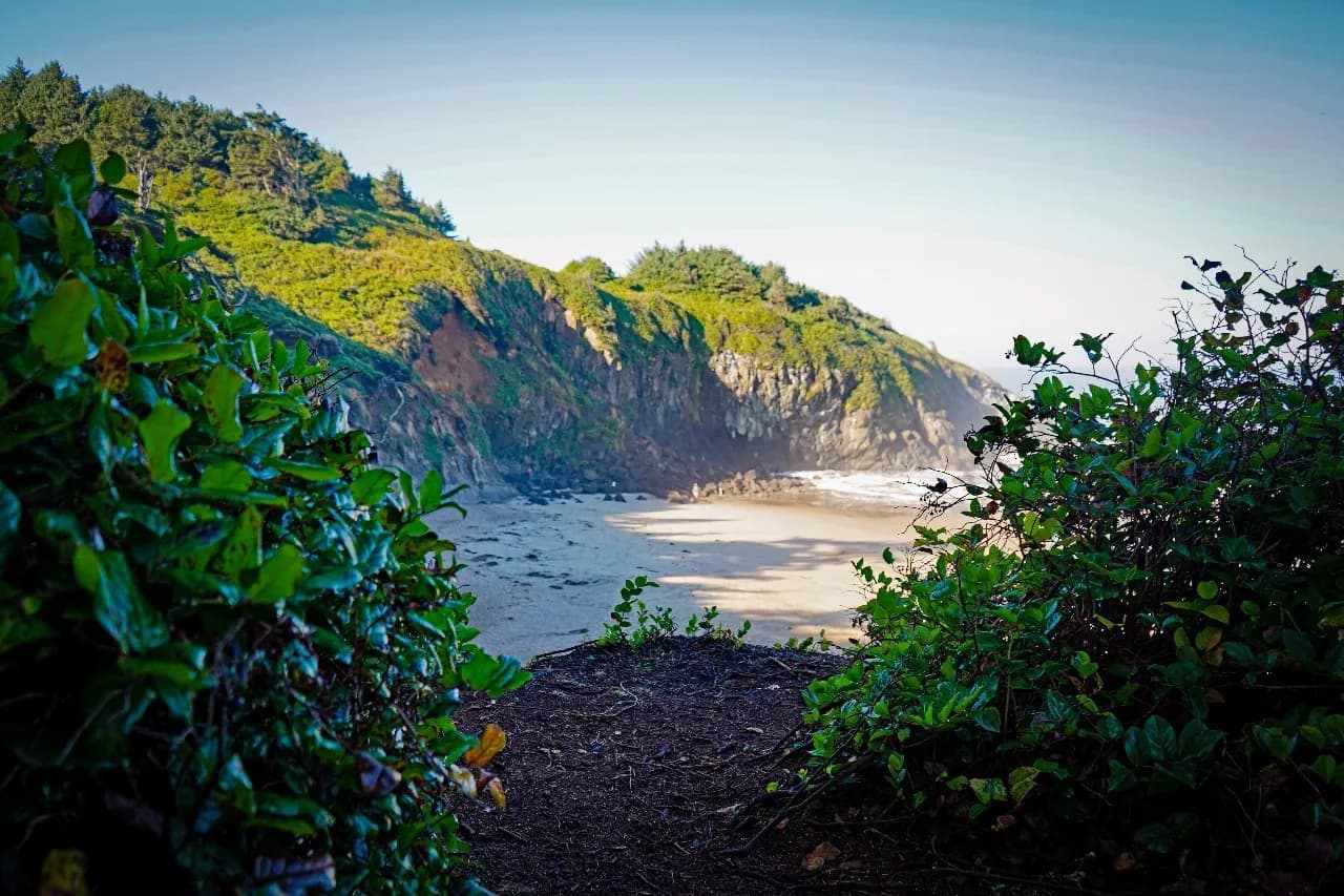 Fogarty Creek State Recreation Area - De la Pull out south of main parking, United States