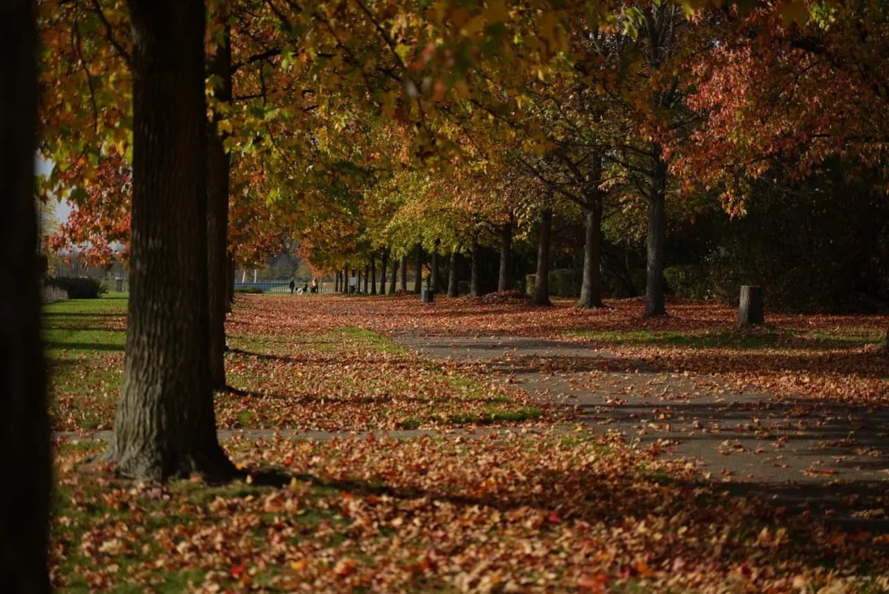Seepark Lünen im Herbst - Germany