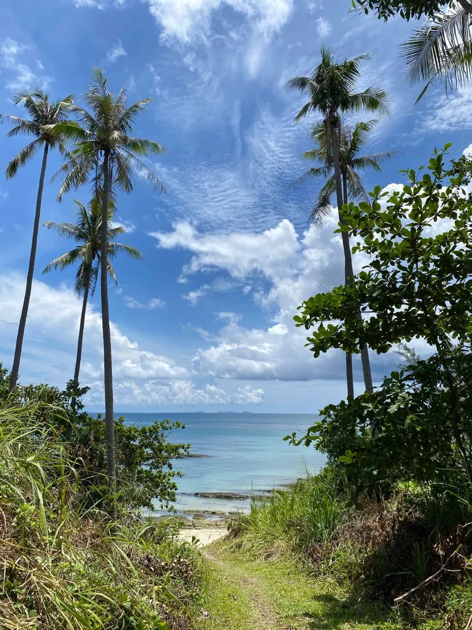 Bak Bak Beach - Kudat - De la North Borneo Biostation, Malaysia