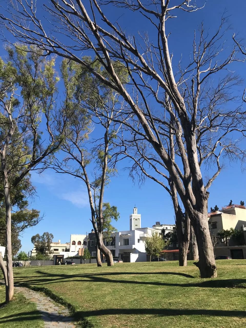 Park - از Route California, Morocco