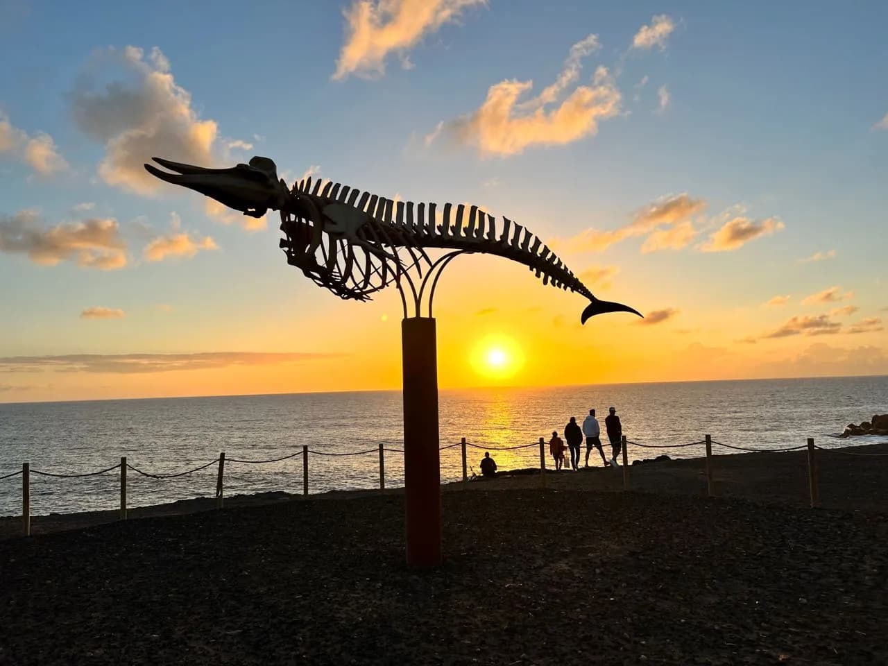 Esqueleto de cetáceo - Spain