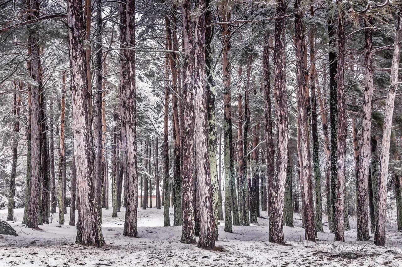 Norman Park - Canada