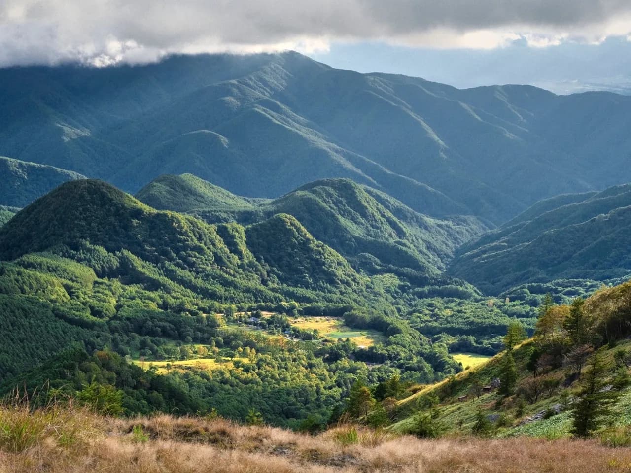 Valley beneath Utsukushigahara - Desde Hiking path, Japan