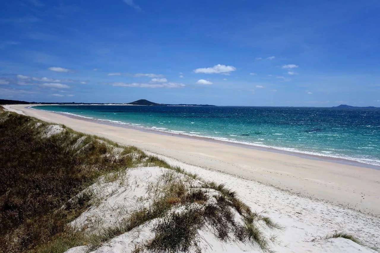 Rangaunu Bay - از Karikari Peninsula, New Zealand