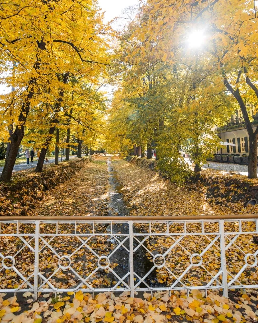 Most Matematike - Z Vrnjačka Banja, Serbia