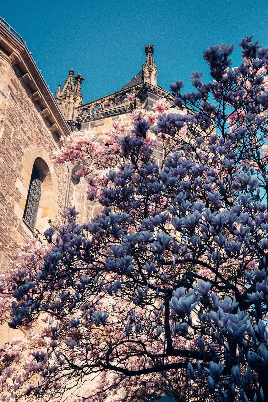 Aachener Dom - Von Altstadt Aachen, Germany