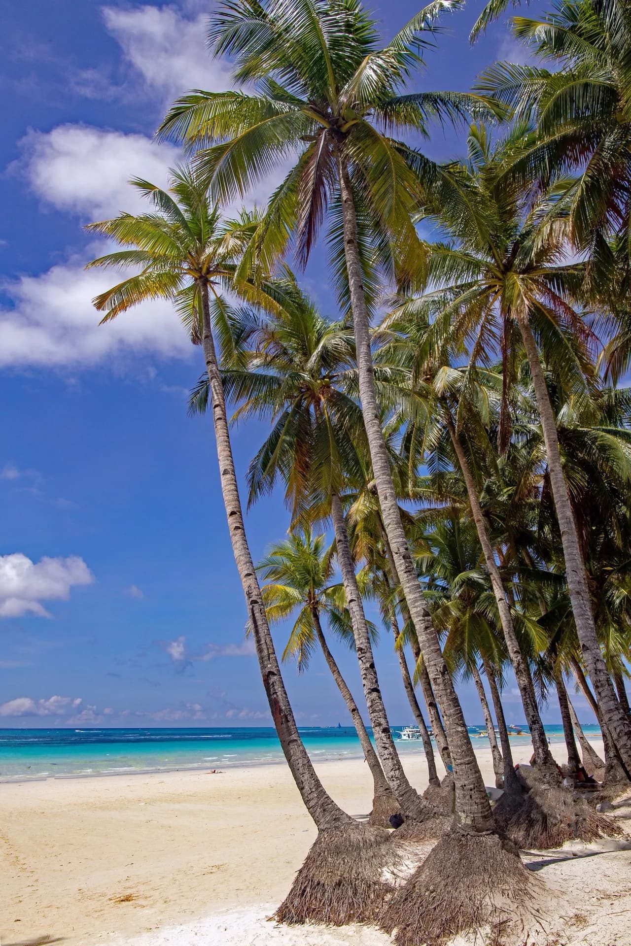 Boracay Island Beach - Von Boracay Nation, Philippines