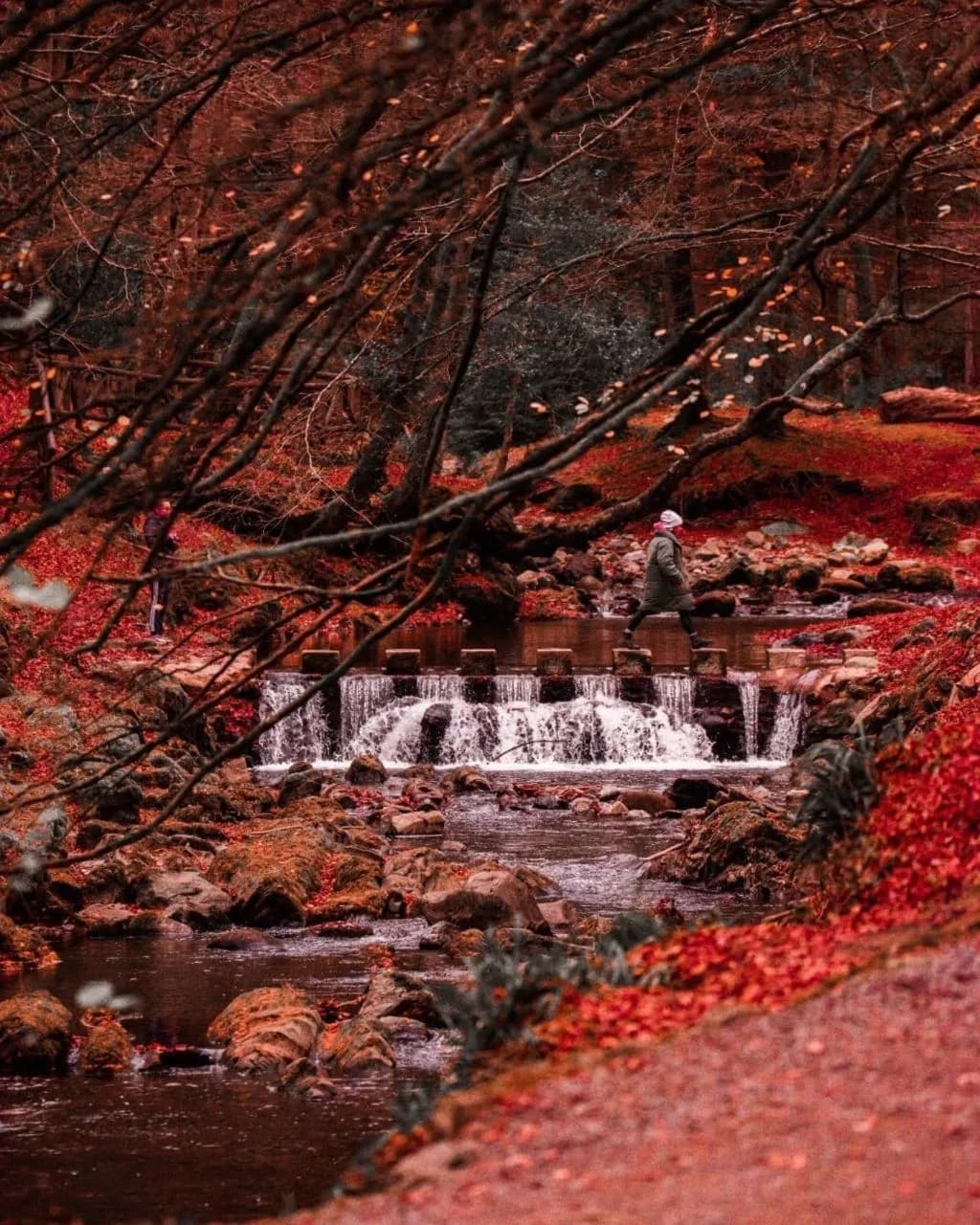Tollymore Stepping Stones - De la Spelga River Path, United Kingdom