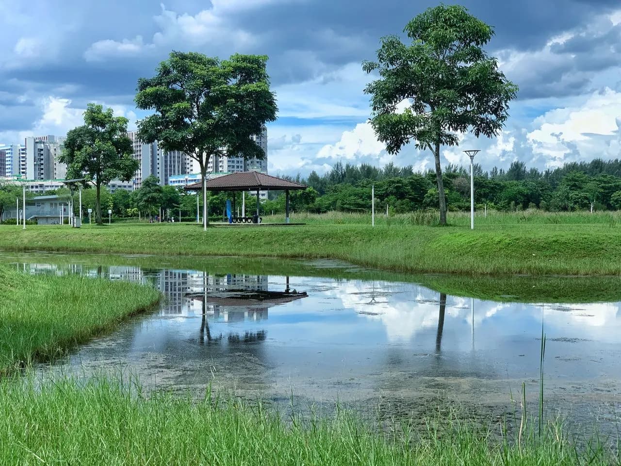 Lorong Halus Wetlands - از South Side, Singapore