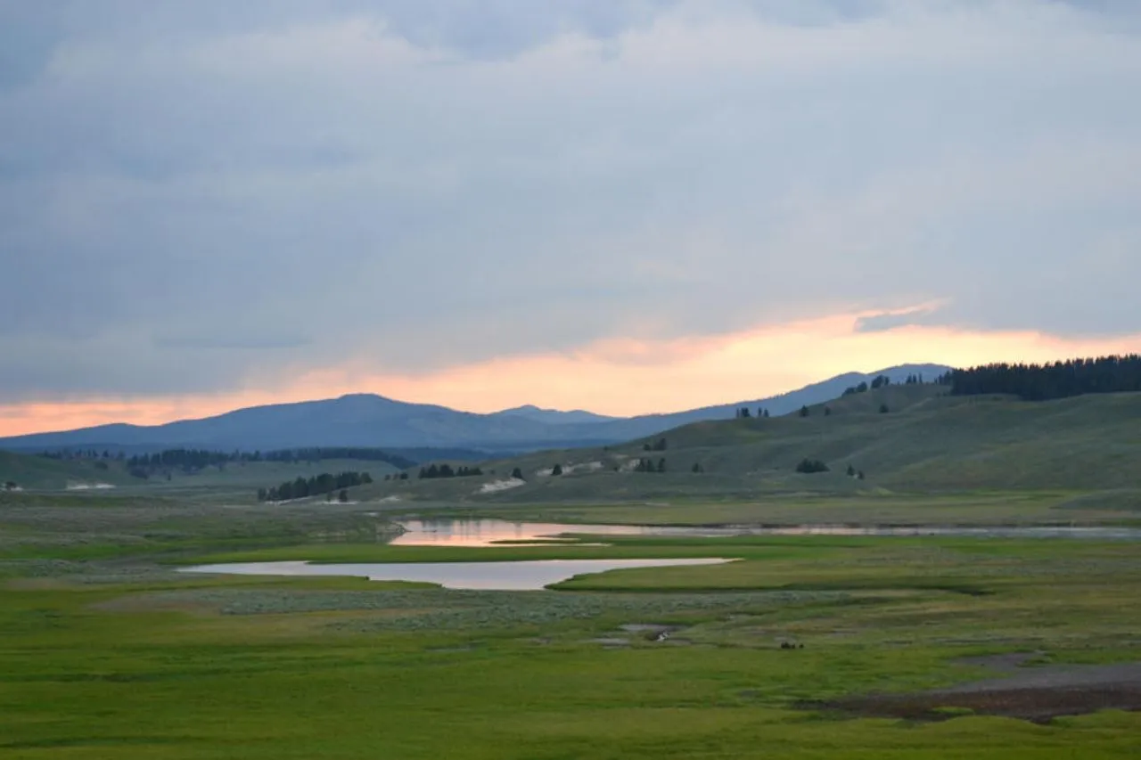 Yellowstone National Park - 来自 Approximate Area, United States
