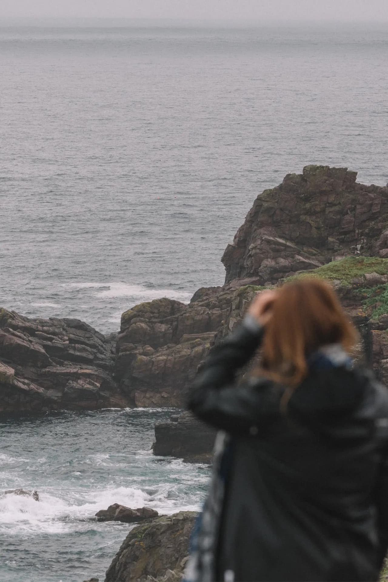 Hare's Ears - Canada