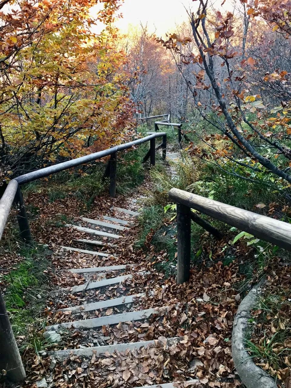 Bieszczady trail to Wielka Rawka - Poland