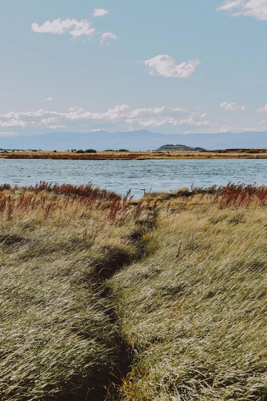 Laguna Nimez - 来自 Trekking path, Argentina