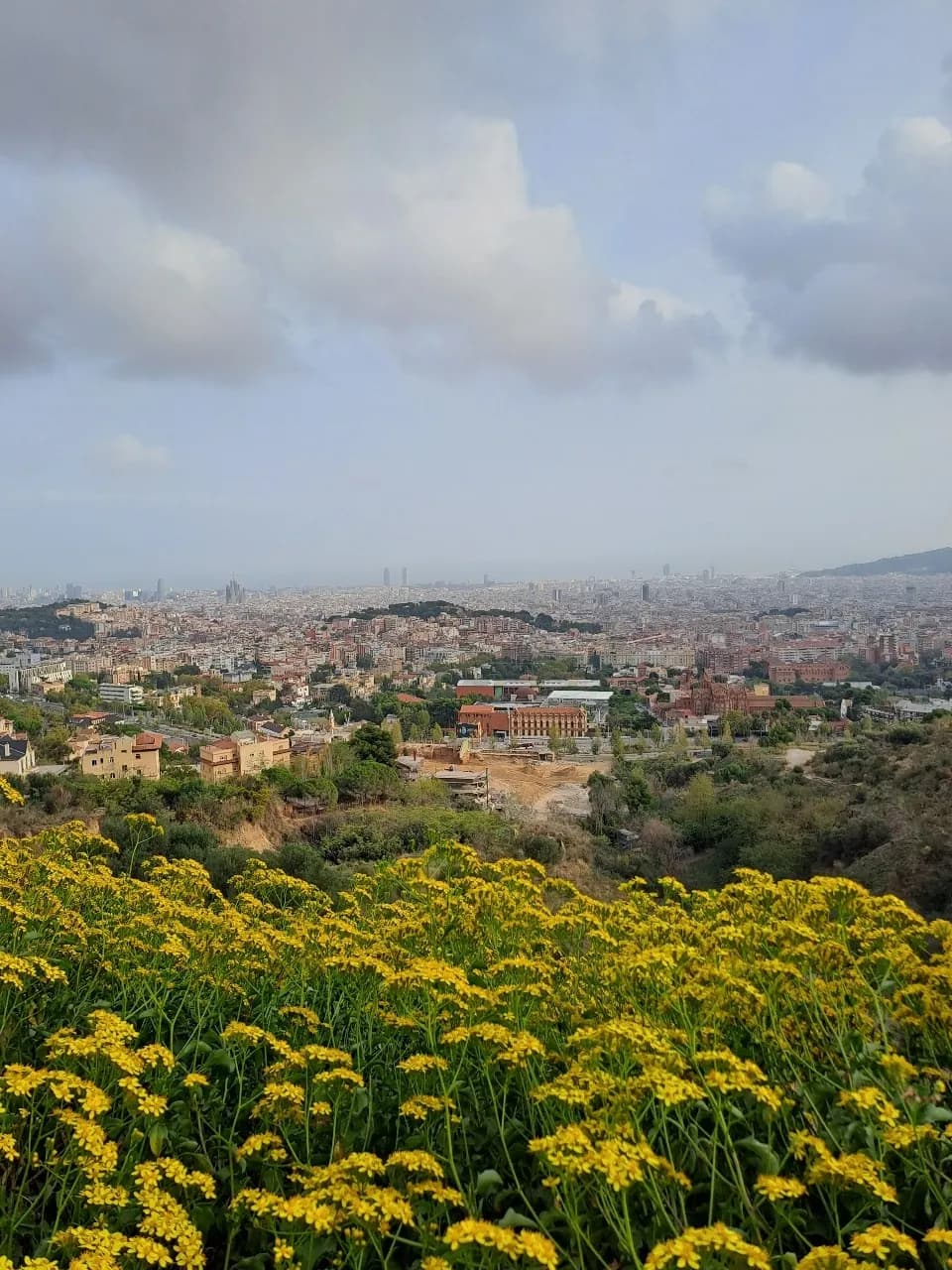 Barcelona - 来自 Camí de Can Borni, Spain