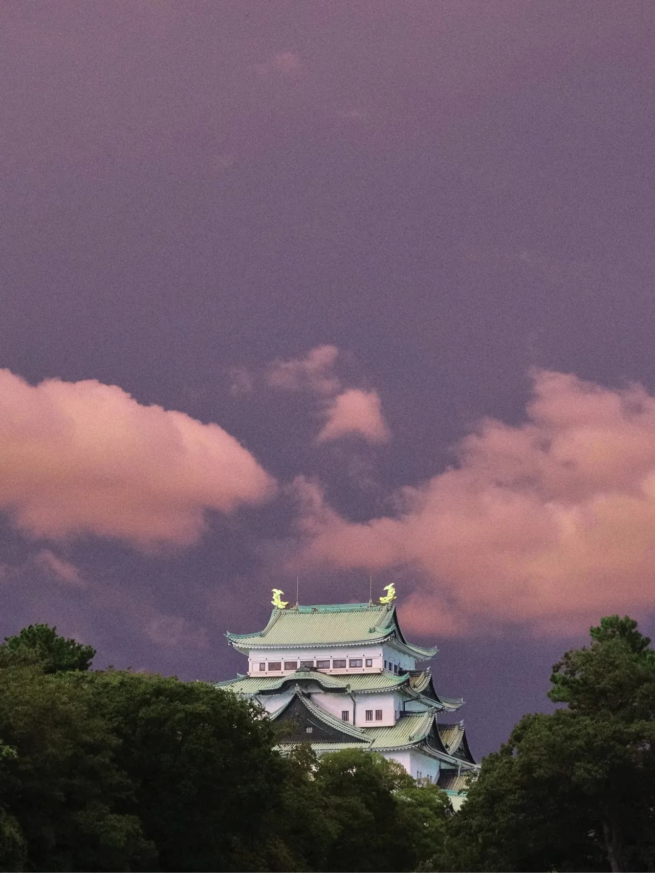Nagoya Castle - از West side, Japan