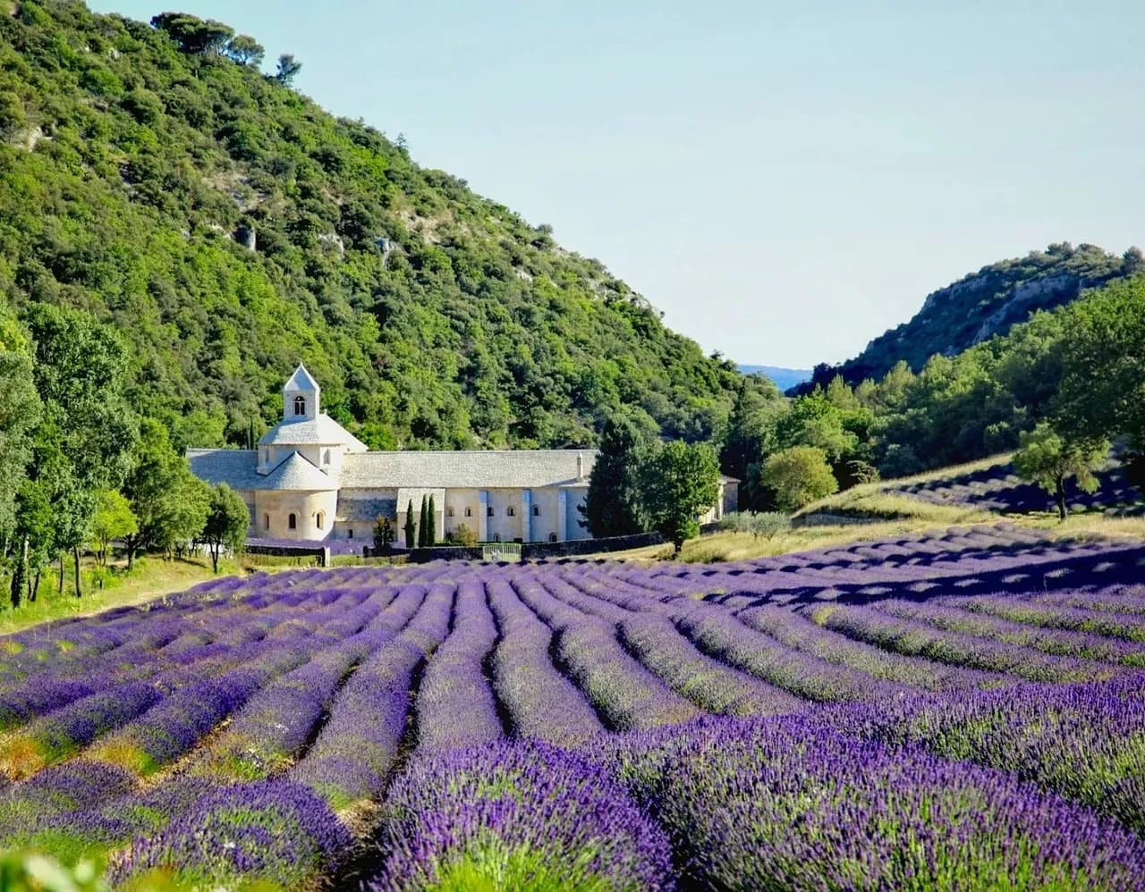 Abbazia di Senanque - Od Sénancole, France
