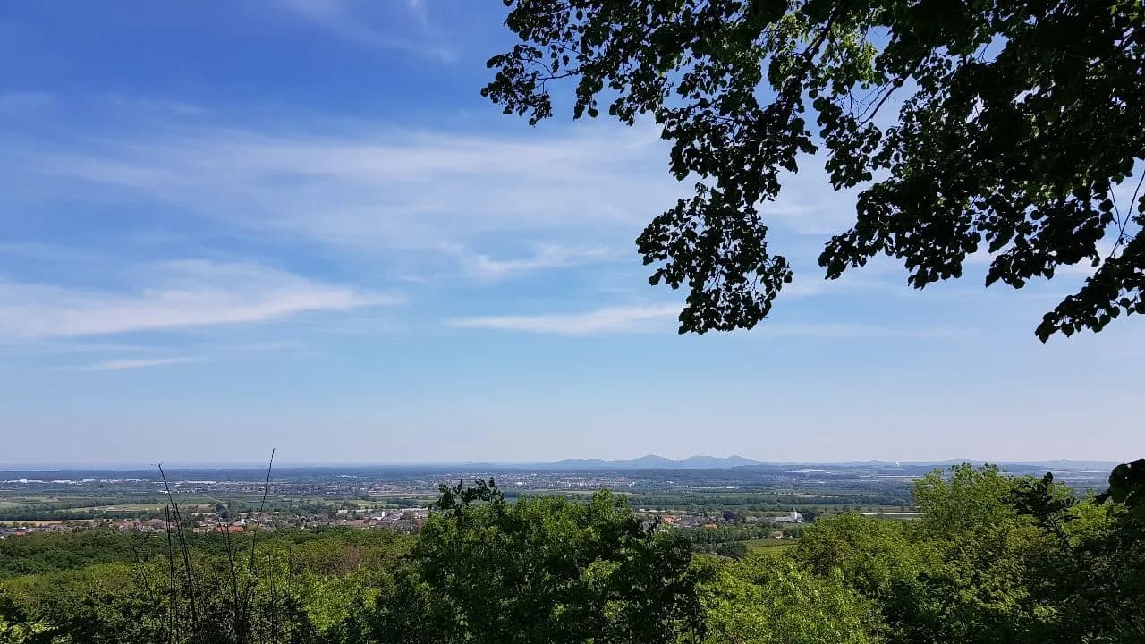 Blick über Meckenheim nach Siebengebirge - から Aussichtspunkt Tomburg, Germany