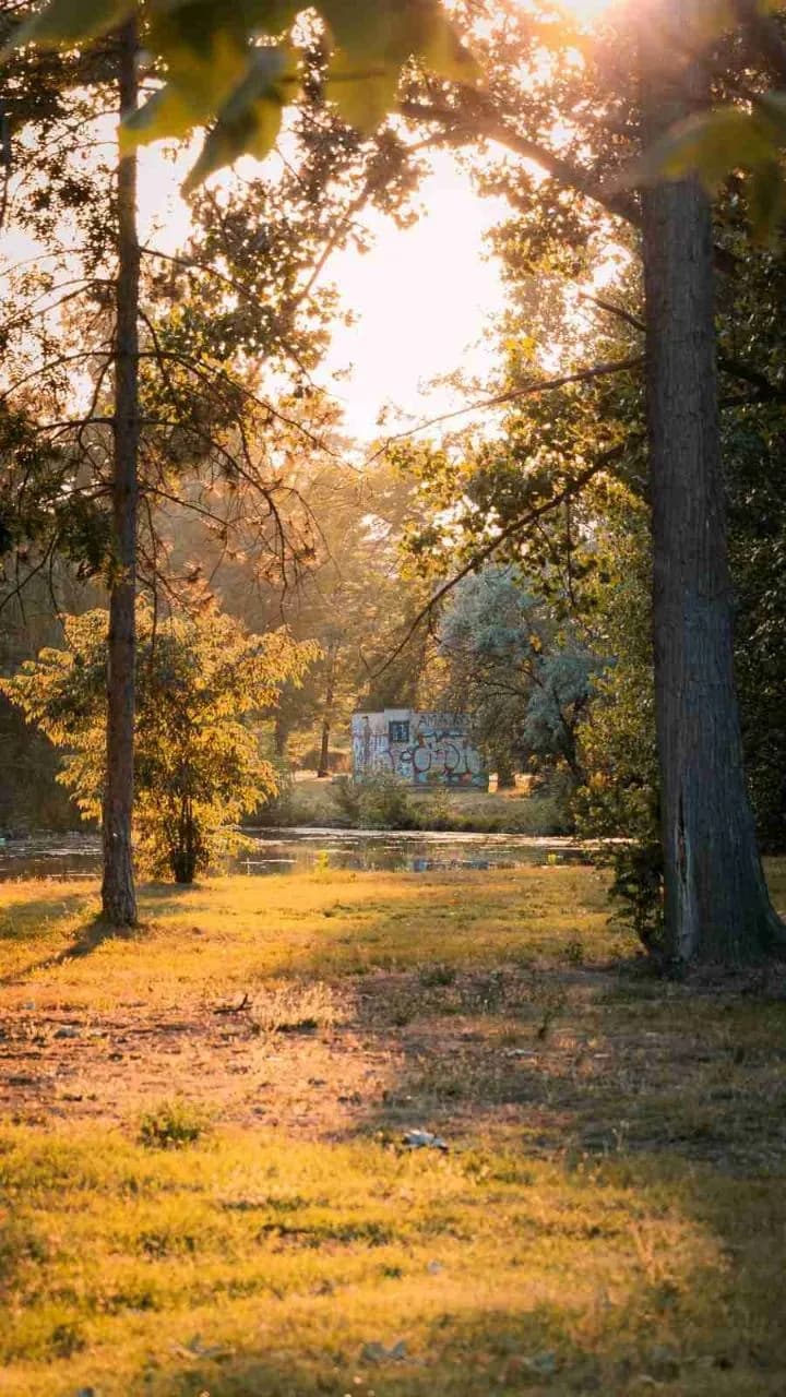 Electricity Building in City Park - Dari Near the track for running looking over the pond, North Macedonia